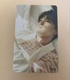 seventeen トレカ　ディノ