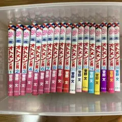 オトメン（乙男）全巻18巻セット