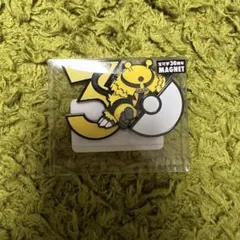 ポケモン 30周年記念 マグネット エレブー エレキッド エレキブル 中国