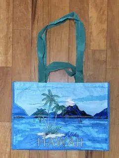 コストコ Aloha HAWAII バッグ 2022年夏