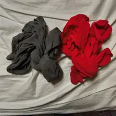掃除用パンティーストッキング2足組