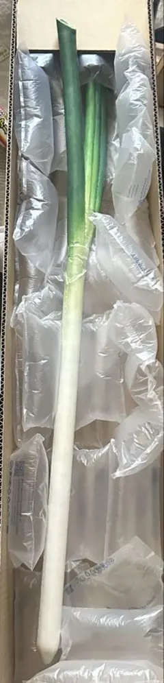 Item thumbnail for item 26698dd7-0158-48df-833f-0a4bd355517b