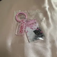 산리오 딸기 신문 아크릴 키 체인
