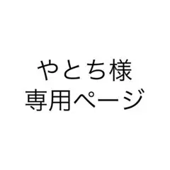 やとち様専用ページ　2点セットのサムネイル