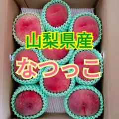 山梨県産 新鮮朝採り 大玉 なつっこ 3kg箱 8玉入り クール便発送
