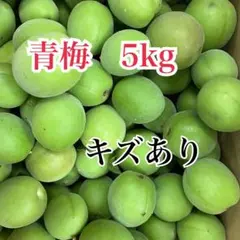 青梅 5kg キズあり 梅酒 梅シロップ用のサムネイル