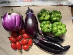 夏野菜セット♪③【本日発送】のサムネイル