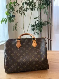 Louis Vuitton スピーディ　ハンドバッグ