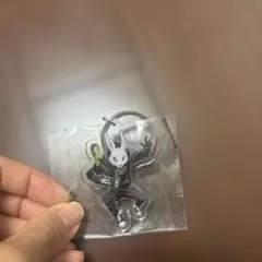 #FR2 アクリルキーホルダー 우사기