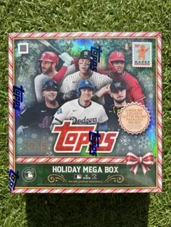 topps 2025 update