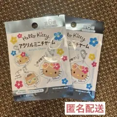 日焼けキティ アクリルミニチャーム 2点セット
