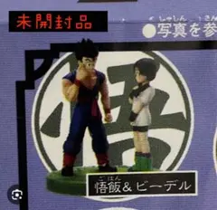 Randy様専用です(8/1まで) 2点セットです