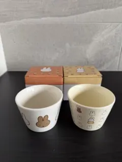 Item thumbnail for item b7dfa80b-a680-4443-8360-9d9c39be7e65