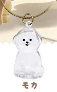 わんこのタイムカプセル　モカ