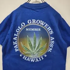 ヴィンテージ　Tシャツ　S　シングルステッチ　ビッグプリント　ブルー　人気　古着