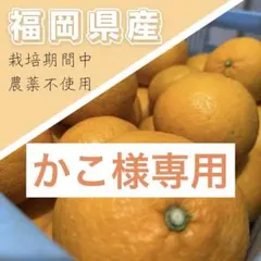かこ様専用