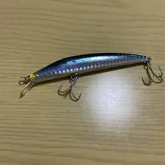 タックルハウス　シーバスカレッジのサムネイル