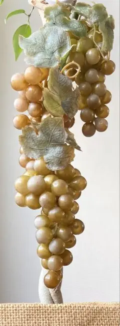 ぶどう狩り、しませんか？