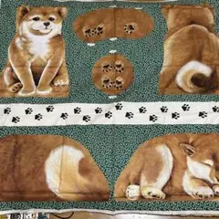 くろちゃん様 リクエスト 2点 まとめ商品