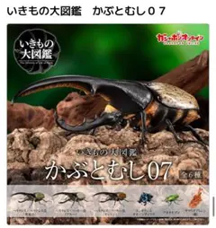 も*ん様 いきもの大図鑑 かぶとむし07 3種セット(オンライン版)