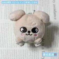 スキズ straykids SKZOO くっつきぬいぐるみ パピーム スンミン