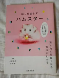 Item thumbnail for item 00610fd7-2838-41e4-b2e9-8c25ed26b613