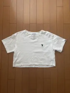 U.S. POLO ASSN クロップド ベーシック Tシャツ　ホワイト