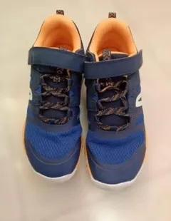 Item thumbnail for item 928a32e7-305d-425a-9ac7-9a6c09c9ad61