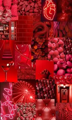 サットちゃん専用ページ❤︎