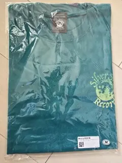 Item thumbnail for item 8cd2428c-c254-4dec-b7a7-73351d912e78