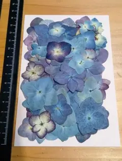 Item thumbnail for item 1022dfc8-dc4a-4d4c-aedc-f69c487f9b13