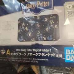 ち*ん様 Harry Potter ブランケット・グラスセット