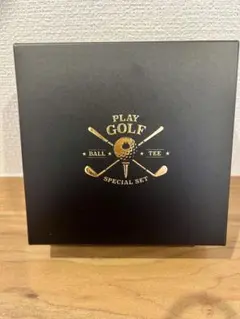 【非売品】YAMASA ゴルフボール ティーセット ボクシングカエル