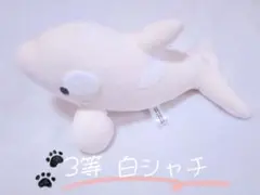 名古屋港水族館 ぬいぐるみくじ シャチ オルカ 白 ホワイト 3等