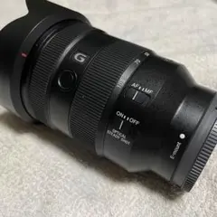SONY FE24-105 F4 G OSSのサムネイル