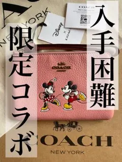 限定コラボ激レアCOACH【CN026】Disneyジップリストレットレザー
