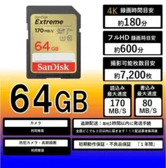 46.サンディスクExtreme SDカード64GB .49