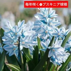 みん様 リクエスト 2点 まとめ商品