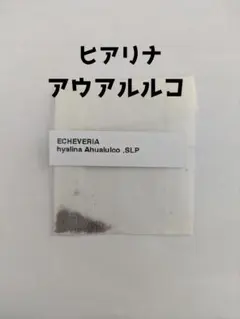 ゆーりん様 リクエスト 2点 まとめ商品