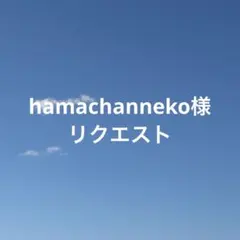 hamachanneko様 リクエスト 3点 まとめ商品