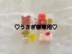 ♡うさぎ様専用♡06/30