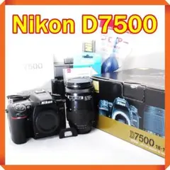 ✨少シャッター Nikon D7500 一眼レフ スマホ転送 ダブルレンズセット