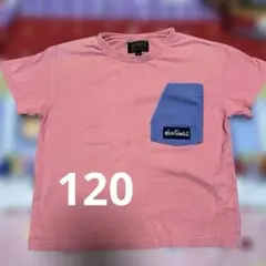 ワイルドシングス120Tシャツ