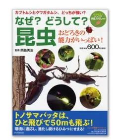 Item thumbnail for item ed0ba738-3081-4cb4-b98f-e029c2879209