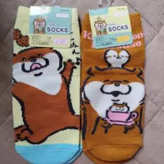 新品　可愛い嘘のカワウソ　レディース　キッズ　靴下　ソックス　子供