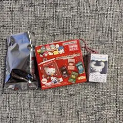 サンリオ チョコボックス シナモロール シナモン シークレット
