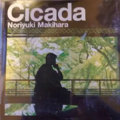 Cicada Noriyuki Makihara