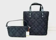 ☆カステルバジャック 刺繍デザイン 素敵なバッグ 大小セット 未使用タグ付き☆