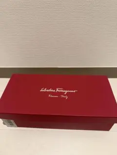 Salvatore Ferragamo VARINA フラットシューズ 6Dのサムネイル