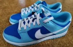 NIKE DUNK 新品 Argon 26.5cm ナイキ ダンク アルゴン